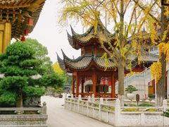 -上海东林寺(金山区)