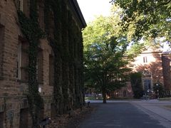 -普林斯顿大学