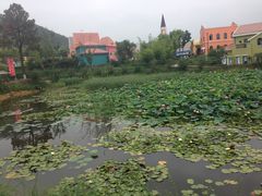 八仙鱼头汤-茅山肴·道家菜·神仙鸡