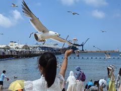-海驴岛(荣成市)