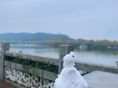 -湖畔居茶楼(湖滨店)