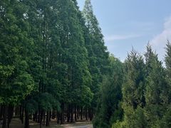 -达活泉公园