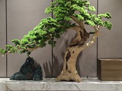 -青水瓦台汤泉(未央店)