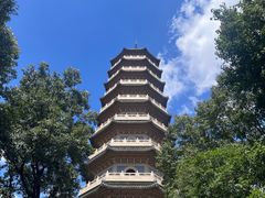 -灵谷景区