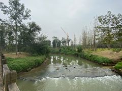 -白鹭湾湿地公园