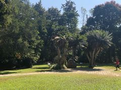 -中国科学院西双版纳热带植物园