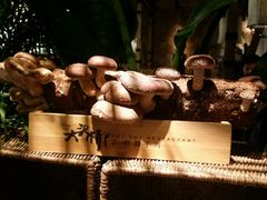 -大头椰·椰子鸡火锅(南宁万象城店)