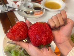 -The COOK·厨餐厅·自助餐(浦东嘉里大酒店)