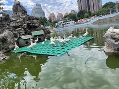 -团结湖公园