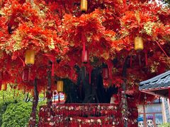 -芜湖方特东方神画