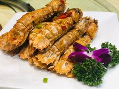 -海岛渔村大酒店(云霄路店)