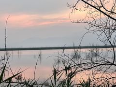 -野鸭湖国家湿地公园