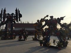 -上海长兴岛郊野公园