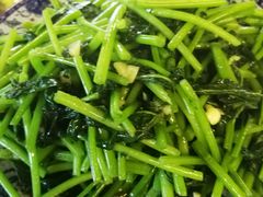 地瓜苗-生态苑农庄(十里画廊遇龙河店)