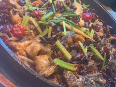 -老板恋上鱼(恒隆广场店)