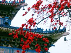 -广州中山纪念堂