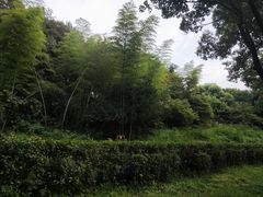 -绍兴鉴湖君澜大酒店