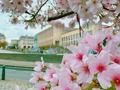 -布鲁塞尔大广场