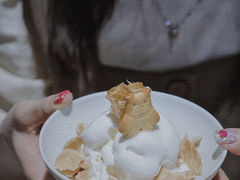人参椴树花蜂巢水牛奶雪糕-歎雪糕低糖低脂Gelato冰淇淋