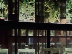 -广东中医药博物馆