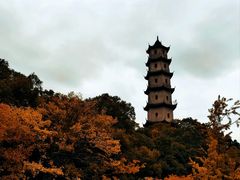 -江心屿景区