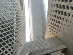 -国际青年会议酒店-苏莱斯餐厅