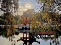 -金砂公园
