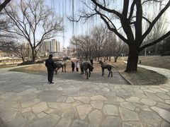 -元大都城垣遗址公园