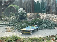 -大连森林动物园