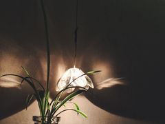 景观位-五观堂素食(新华路店)