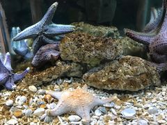 -苏州海洋馆