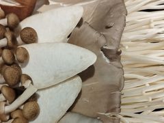 -蝎王府羊蝎子(虎坊桥总店)