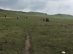 -塞罕坝国家级自然保护区