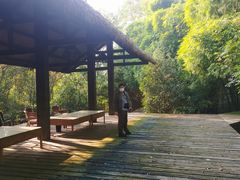 -鹿野苑石刻艺术博物馆