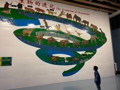 -青藏高原自然博物馆