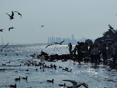 -深圳湾公园(南山区)