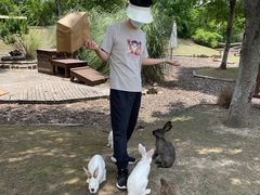 -田园东方蜜桃村的田野营地
