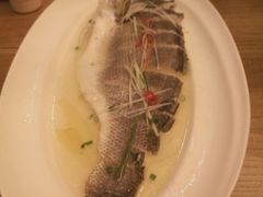 -热度餐厅(老佛爷店)