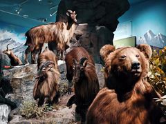 -鄂尔多斯野生动物园