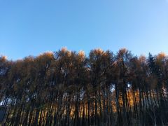 -硗碛藏寨·神木垒景区