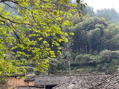 -杨家堂村