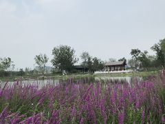 -西海子公园