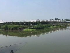 -马陆小张葡萄园农家乐