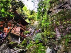 -藏龙百瀑风景区