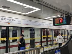 -东方体育中心(地铁站)