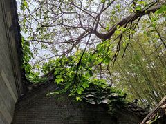 -竹泉村旅游度假区