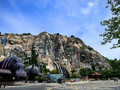 -西霞口神雕山野生动物世界