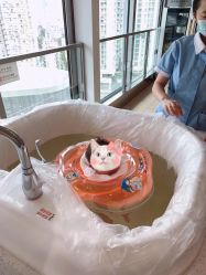 -禧月荟S月子中心(侨城店)