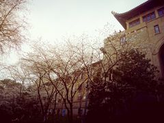 -武汉大学-樱园