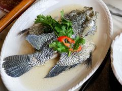 -九记路边鸡(穗盐路店)